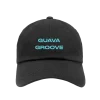 GUAVA GROOVE DAD HAT by PLUGPLAY™ RNBW
