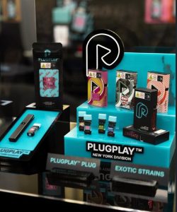 plug play